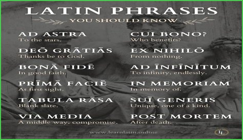 A Profile Of A Latin Beauty